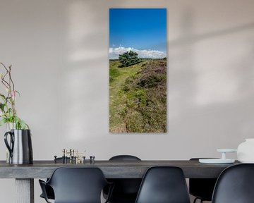 Staand panorama van de Tafelbergheide bij Huizen, Nederland van Martin Stevens