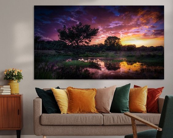 Aperçu de la chambre