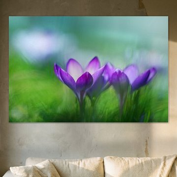 Sinfonie des Frühlings von LHJB Photography