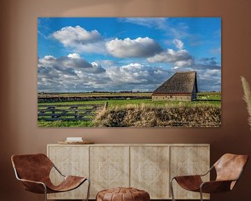 Schapenboet Texel van Texel360Fotografie Richard Heerschap