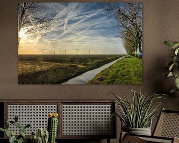 Kaal en droog in de winter bij Almere Pampus van Sven Wildschut