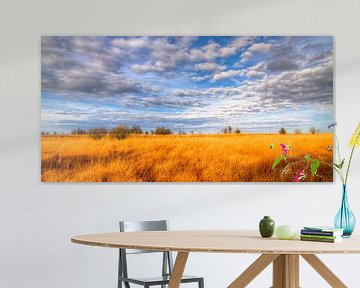 Panoramic view of the High Fens by Colin van der Bel