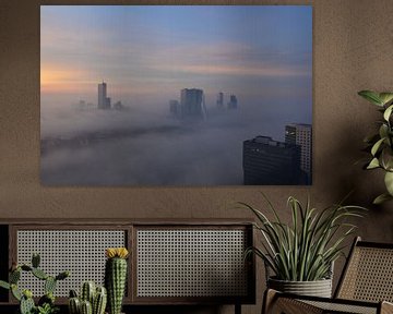 Rotterdam in de vroege ochtend Zon en Mist