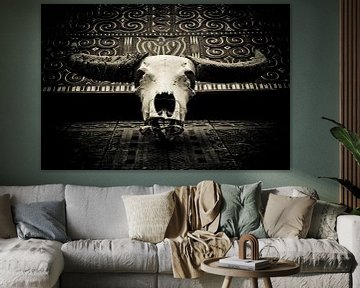 Indonesia - buffalo skull by Wim Demortier