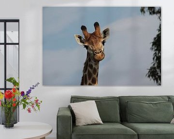 Giraffe close-up von Irene de Moree