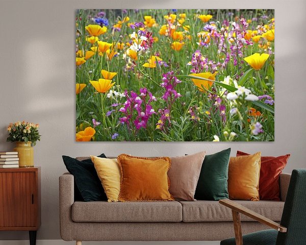 Buntes Feld von Wildblumen