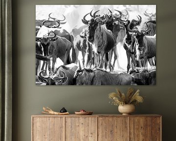 Wildebeest herd at watering hole by Tom van de Water