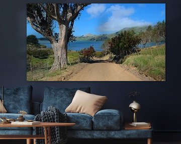 New Zealand - the Weir Road on the Otago Peninsula by Gerold Dudziak