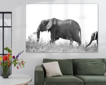 Elefant mit Jungtier von Tom van de Water