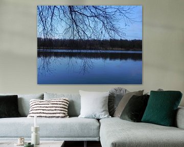 Water weerspiegeling in de bossen van Almere van Ingrid Van Maurik