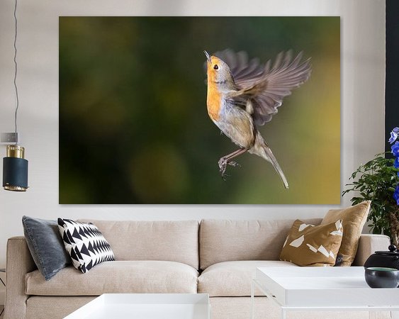 Aperçu de la chambre