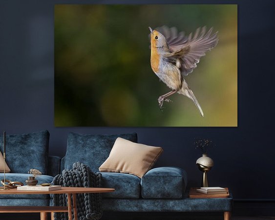 Aperçu de la chambre