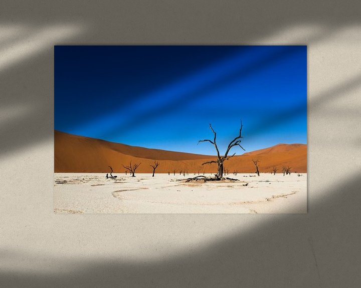 Sfeerimpressie: Deadvlei - landschap in Namibie van Frans Gesell