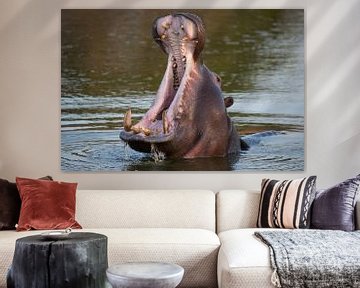 nijlpaard van Willem Vernes