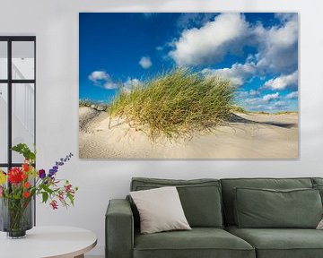 Landscape with dunes on the North Sea island Amrum