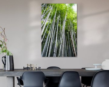 Bambusbäume im Bambuswald von Kyoto von Ineke Huizing