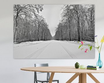 bos (lingebos) in sneeuw bedekt van Matthijs Temminck