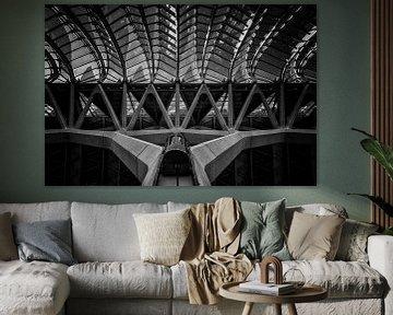 Lijnen met lift in zwart-wit  van Bert Meijer