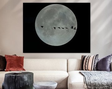 Full moon over  flying geese by Joke te Grotenhuis