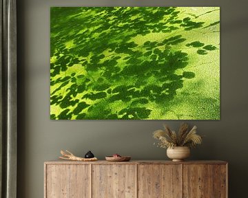 duckweed and shadows of beech leaves by anton havelaar