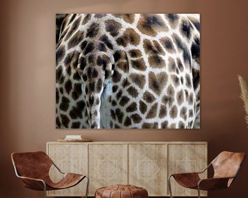 Hartje op billen van giraffe van Petra Dielman