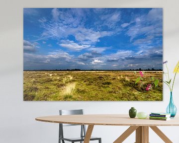 Heath under cloudy sky in the evening by Fred van Bergeijk