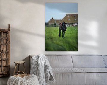 Paard in de wei by Annette van den Berg