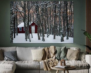Noors hutje in de sneeuw - Vesteralen, Noorwegen