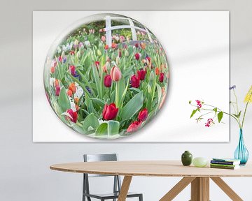 Glass sphere reflecting red tulips flowers by Ben Schonewille
