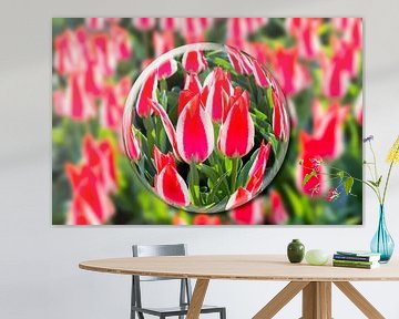 Crystal ball with red-white tulips in flowers field by Ben Schonewille