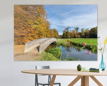 Landschap in herfst met houten brug over water in bos 