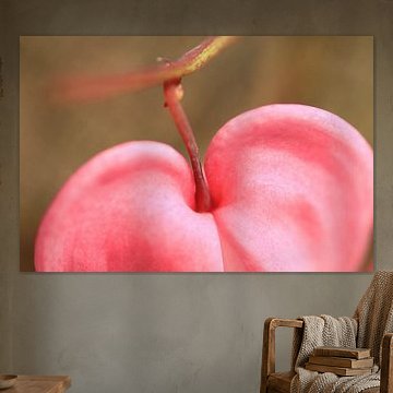 cœur sur Marcel van Rijn