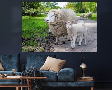 Moeder schaap en lam  staan op weg in natuur van Ben Schonewille