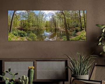 groot panorama van de vijver op landgoed Spanderswoud in 's-Graveland, Wijdemeren, Nederland van Martin Stevens