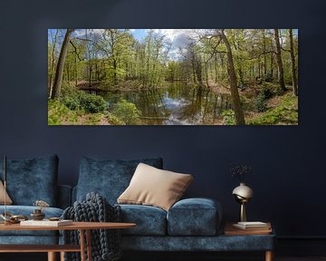 large panorama of the pond on Spanderswoud estate in 's-Graveland, Wijdemeren, Netherlands by Martin Stevens