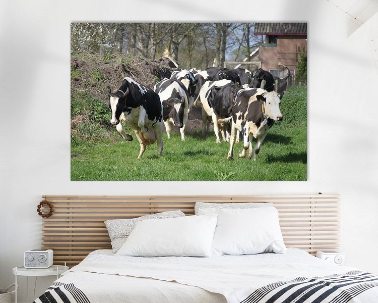 Raumvorschau