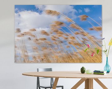 Golden yellow reed culms against a Dutch overcast sky. One2expose Wout Kok Photography.  by Wout Kok