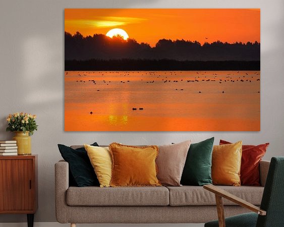 Aperçu de la chambre