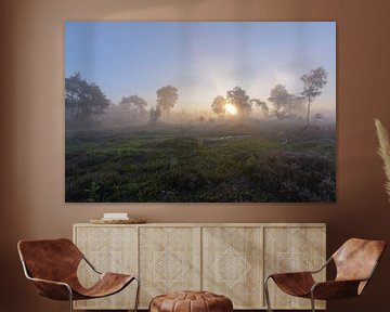 Foggy landscape in Sallandse Heuvelrug by Remco Van Daalen