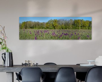 Whole lotta Green-winged orchids  by Mark Meijrink