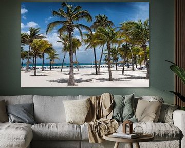 palmen aan het strand van Aruba