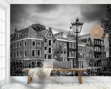 AMSTERDAM Prince's Canal  by Melanie Viola