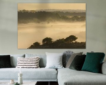 Mistig landschap in Amsterdamse Waterleidingduinen van Remco Van Daalen