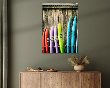 Surfboards van Rogier Steyvers