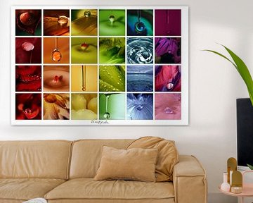 Collage - Beauty of colors van Angelique Brunas