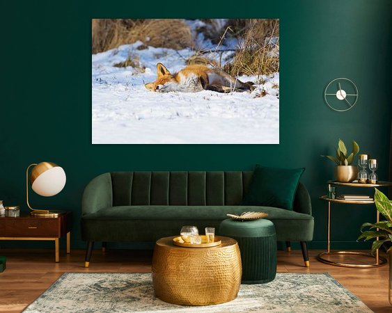 Aperçu de la chambre