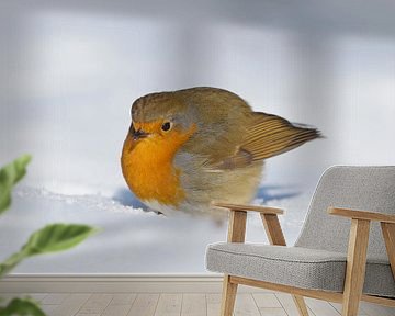 Roodborst in de sneeuw van Remco Van Daalen