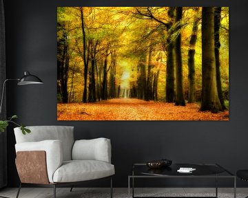 Herbstwald von Jessica Berendsen