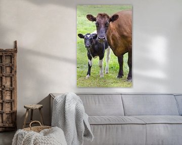 Bruine koe staat samen met bont kalf in wei van Ben Schonewille