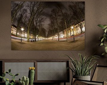 Lange Voorhout in Den Haag von Esther Seijmonsbergen